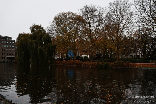 Autumn_Scenery_Stadhouderskade_Amsterdam_Netherlands_cityscape_Photography_Canon_EOS_R5_Mark_II_2025_001.JPG