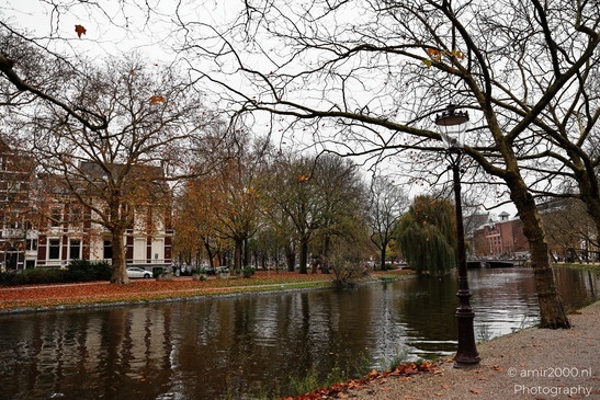 Autumn_Scenery_Stadhouderskade_Amsterdam_Netherlands_cityscape_Photography_Canon_EOS_R5_Mark_II_2025_003.JPG