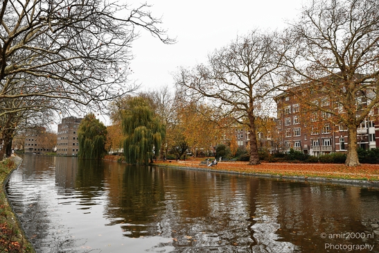Autumn_Scenery_Stadhouderskade_Amsterdam_Netherlands_cityscape_Photography_Canon_EOS_R5_Mark_II_2025_006.JPG