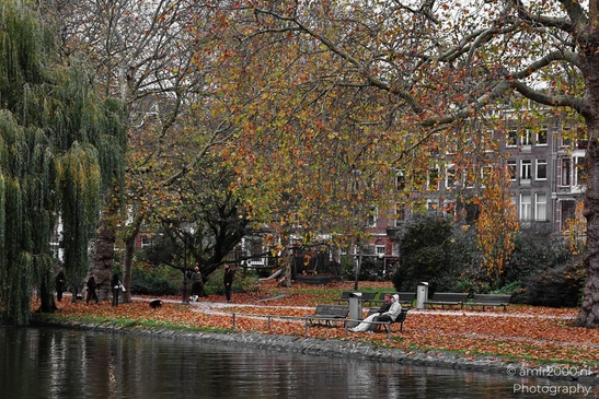 Autumn_Scenery_Stadhouderskade_Amsterdam_Netherlands_cityscape_Photography_Canon_EOS_R5_Mark_II_2025_007.JPG