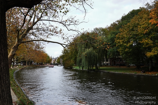 Autumnal_Trees_Along_A_Canal_Amsterdam_Netherlands_cityscape_Photography_Canon_EOS_R5_Mark_II_2025_001.JPG