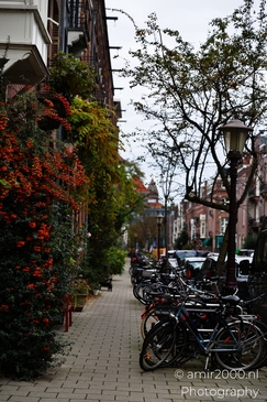 Autumnal_Urban_Landscape_With_Red_Brick_Buildings_Amsterdam_Netherlands_cityscape_Photography_Canon_EOS_R5_Mark_II_2025_006.JPG