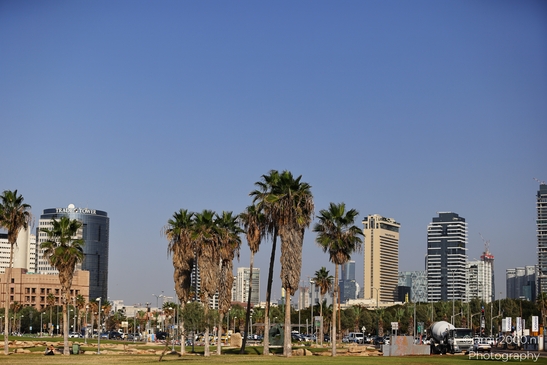 Beachfront_Urban_Oasis_With_Coastal_Architecture_Tel_Aviv_jaffa_Israel_cityscape_Photography_Canon_EOS_R5_Mark_II_2025_010.JPG