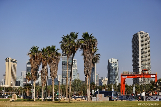 Beachfront_Urban_Oasis_With_Coastal_Architecture_Tel_Aviv_jaffa_Israel_cityscape_Photography_Canon_EOS_R5_Mark_II_2025_011.JPG