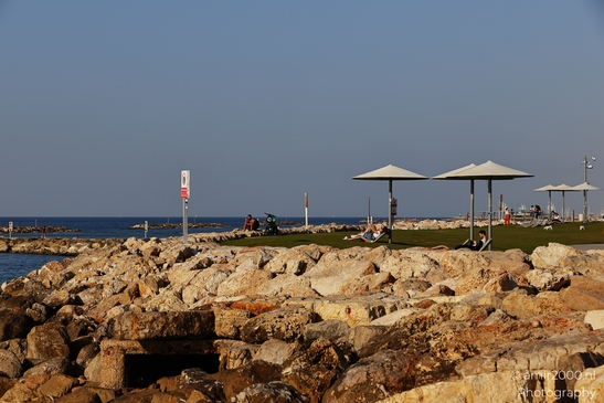 Beachfront_Urban_Oasis_With_Coastal_Architecture_Tel_Aviv_jaffa_Israel_cityscape_Photography_Canon_EOS_R5_Mark_II_2025_018.JPG