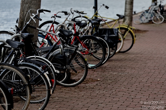 Bicycle_Parking_By_Water_Java_eiland_Amsterdam_Netherlands_Cityscape_Photography_Canon_EOS_R5_Mark_II_2025_001.JPG