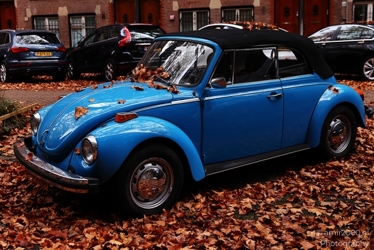 Blue_Classic_Beetle_Amidst_Autumn_Leaves_In_Lomanstraat_Amsterdam_Netherlands_cityscape_Photography_Canon_EOS_R5_Mark_II_2025_001.JPG