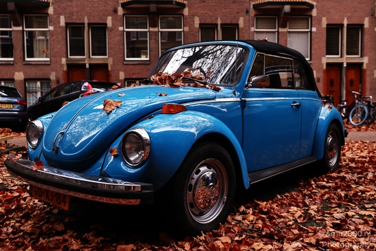 Blue_Classic_Beetle_Amidst_Autumn_Leaves_In_Lomanstraat_Amsterdam_Netherlands_cityscape_Photography_Canon_EOS_R5_Mark_II_2025_002.JPG