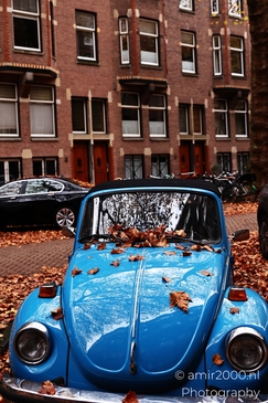 Blue_Classic_Beetle_Amidst_Autumn_Leaves_In_Lomanstraat_Amsterdam_Netherlands_cityscape_Photography_Canon_EOS_R5_Mark_II_2025_003.JPG