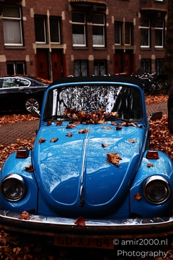 Blue_Classic_Beetle_Amidst_Autumn_Leaves_In_Lomanstraat_Amsterdam_Netherlands_cityscape_Photography_Canon_EOS_R5_Mark_II_2025_004.JPG