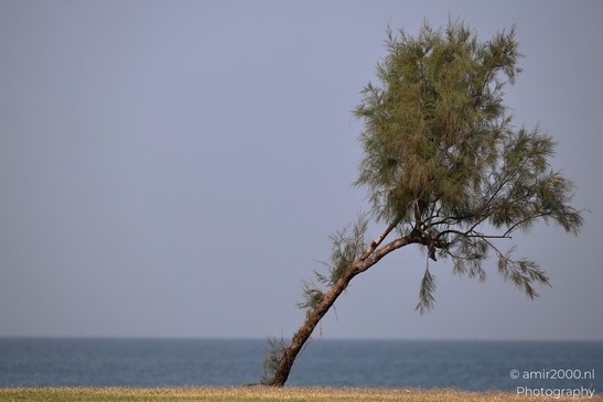 Charles_Clore_Park_On_The_Mediterranean_Tel_Aviv_jaffa_Israel_cityscape_Photography_Canon_EOS_R5_Mark_II_2025_001.JPG