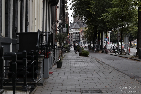 A quiet canal in Amsterdam's city center, with a typical Dutch house and trees lining the street - image from year 2025 #004