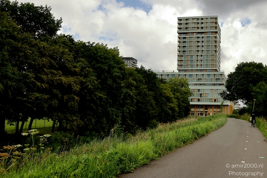 Cycling_path_next_to_Floating_Gardens_Amsterdam_Netherlands_Cityscape_Photography_Canon_EOS_R5_Mark_II_2025_002.JPG