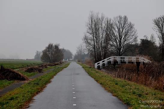 Foggy_Bike_Path_Noord_Holland_Netherlands_Cityscape_Photography_Canon_EOS_R5_Mark_II_2025_003.JPG