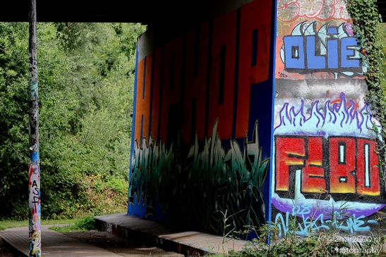 Graffiti_Art_at_Flevopark_Amsterdam_Netherlands_Cityscape_Photography_Canon_EOS_R5_Mark_II_2025_002.JPG