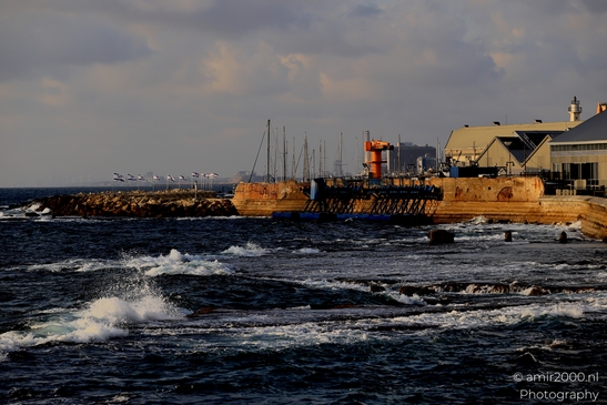 Midron_Yaffo_Park_Jaffa_port_Tel_Aviv_jaffa_Israel_Cityscape_Photography_Canon_EOS_R5_Mark_II_2025_002.JPG