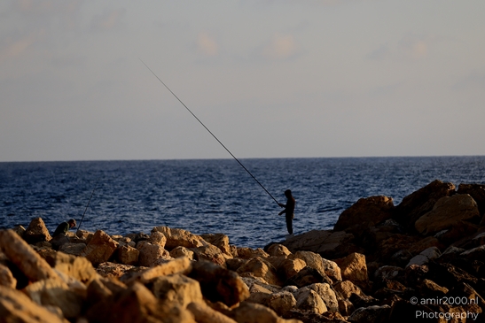 Midron_Yaffo_Park_Jaffa_port_Tel_Aviv_jaffa_Israel_Cityscape_Photography_Canon_EOS_R5_Mark_II_2025_006.JPG