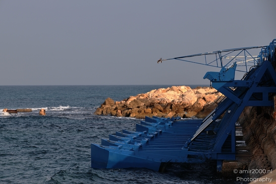 Midron_Yaffo_Park_Jaffa_port_Tel_Aviv_jaffa_Israel_Cityscape_Photography_Canon_EOS_R5_Mark_II_2025_016.JPG