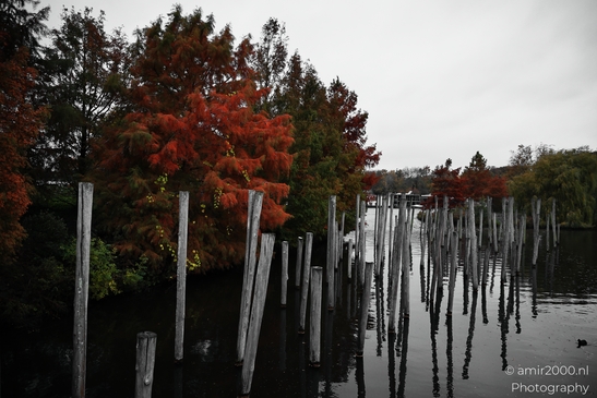 Park_Schinkeleilanden_During_Autumn_Autumn_Amsterdam_Netherlands_cityscape_Photography_Canon_EOS_R5_Mark_II_2025_001.JPG