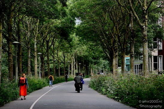 Peaceful_Park_Path_at_Westerpark_Amsterdam_Netherlands_Cityscape_Photography_Canon_EOS_R5_Mark_II_2025_001.JPG