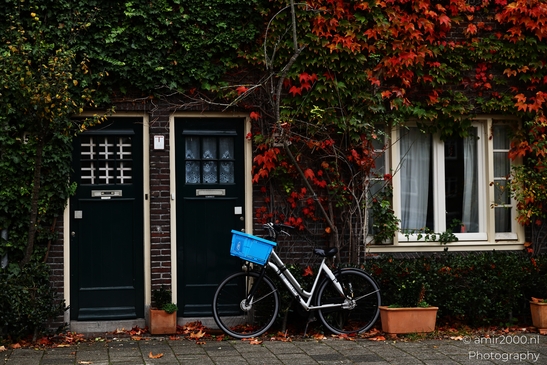 Pieter_Lastmankade_During_Autumn_Amsterdam_Netherlands_cityscape_Photography_Canon_EOS_R5_Mark_II_2025_007.JPG