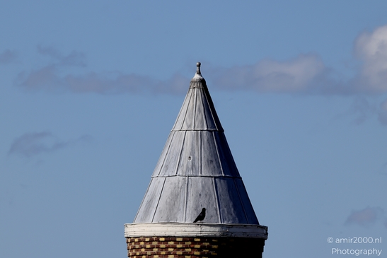 Roof_in_Kattenburgerplein_Amsterdam_Netherlands_Cityscape_Photography_Canon_EOS_R5_Mark_II_2025_001.JPG