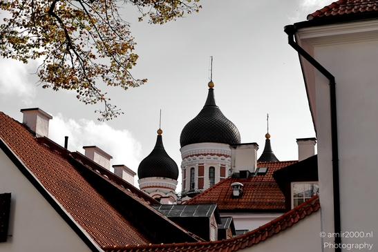 St_Marys_Cathedral_Lutheran_church_Tallinn_Estonia_Cityscape_Photography_Canon_EOS_R5_Mark_II_2025_012.JPG