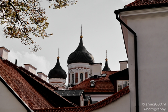 St_Marys_Cathedral_Lutheran_church_Tallinn_Estonia_Cityscape_Photography_Canon_EOS_R5_Mark_II_2025_013.JPG