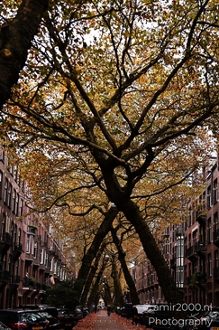 The_Beauty_Of_Lomanstraat_During_Autumn_Amsterdam_Netherlands_cityscape_Photography_Canon_EOS_R5_Mark_II_2025_001.JPG