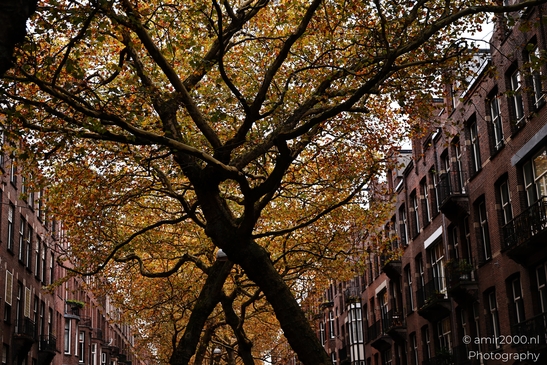 The_Beauty_Of_Lomanstraat_During_Autumn_Amsterdam_Netherlands_cityscape_Photography_Canon_EOS_R5_Mark_II_2025_004.JPG
