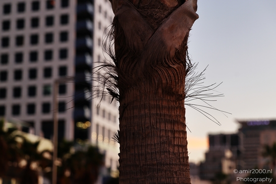 Urban_Coastal_Scene_At_Sunset_Beachfront_Tel_Aviv_jaffa_Israel_cityscape_Photography_Canon_EOS_R5_Mark_II_2025_007.JPG