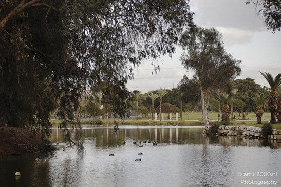 Urban_Oasis_National_Park_Of_Ramat_Gan_Israel_cityscape_Photography_Canon_EOS_R5_Mark_II_2025_004.JPG