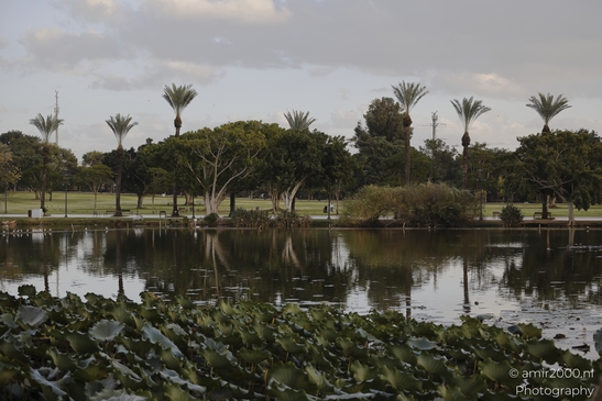 Urban_Oasis_National_Park_Of_Ramat_Gan_Israel_cityscape_Photography_Canon_EOS_R5_Mark_II_2025_005.JPG
