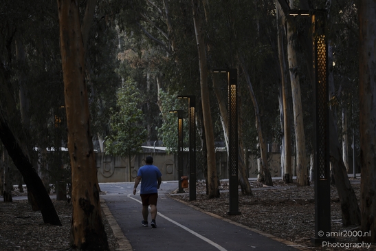 Urban_Oasis_National_Park_Of_Ramat_Gan_Israel_cityscape_Photography_Canon_EOS_R5_Mark_II_2025_010.JPG