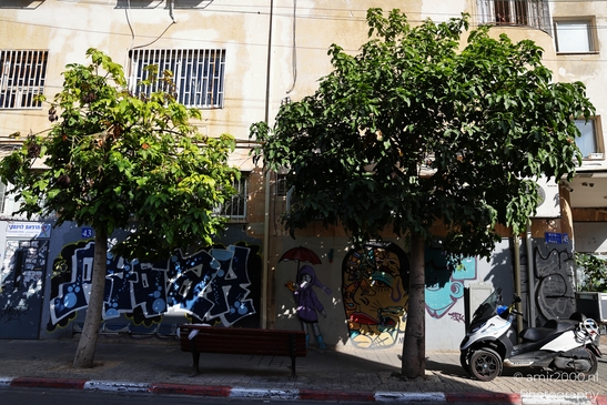Urban_Scenery_Around_The_Center_Tel_Aviv_jaffa_Israel_cityscape_Photography_Canon_EOS_R5_Mark_II_2025_040.JPG