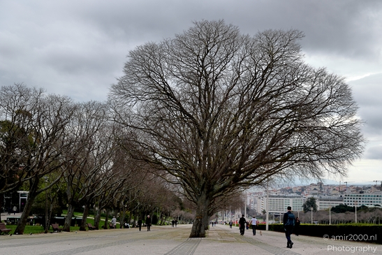 Urban_scenery_and_beauty_of_the_city_Lisbon_Portugal_Cityscape_Photography_Canon_EOS_R5_Mark_II_2025_022.JPG