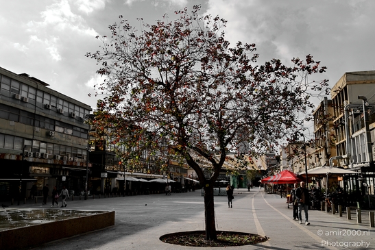 Urban_scenery_winter_Tel_Aviv_jaffa_Israel_Cityscape_Photography_Canon_EOS_R5_Mark_II_2025_004.JPG