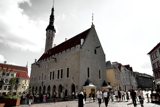Vanalinn_The_Old_Town_Tallinn_Estonia_Cityscape_Photography_Canon_EOS_R5_Mark_II_2025_056.JPG