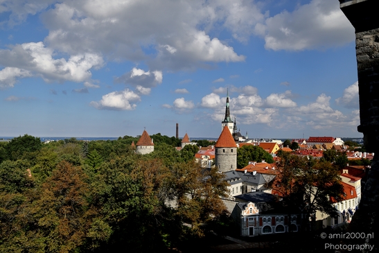 Vanalinn_The_Old_Town_Tallinn_Estonia_Cityscape_Photography_Canon_EOS_R5_Mark_II_2025_065.JPG