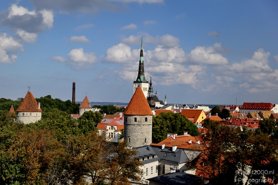 Vanalinn_The_Old_Town_Tallinn_Estonia_Cityscape_Photography_Canon_EOS_R5_Mark_II_2025_066.JPG
