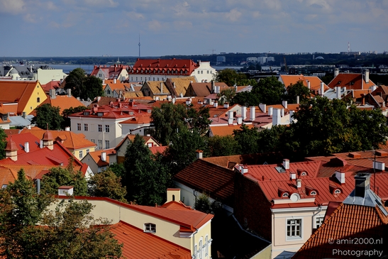Vanalinn_The_Old_Town_Tallinn_Estonia_Cityscape_Photography_Canon_EOS_R5_Mark_II_2025_068.JPG