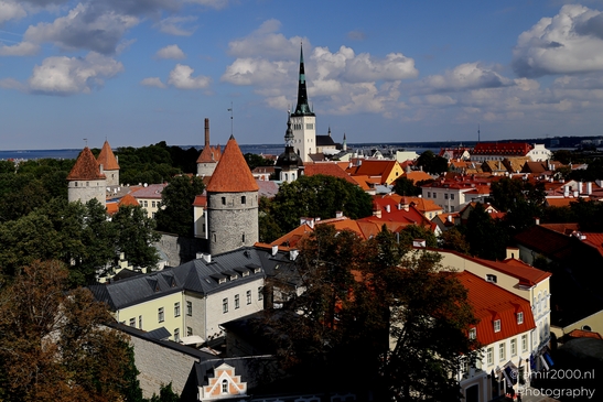Vanalinn_The_Old_Town_Tallinn_Estonia_Cityscape_Photography_Canon_EOS_R5_Mark_II_2025_069.JPG