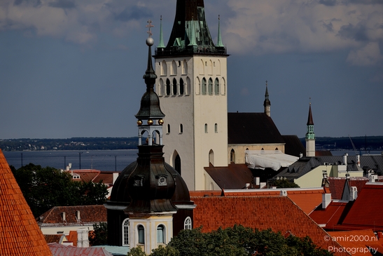 Vanalinn_The_Old_Town_Tallinn_Estonia_Cityscape_Photography_Canon_EOS_R5_Mark_II_2025_077.JPG