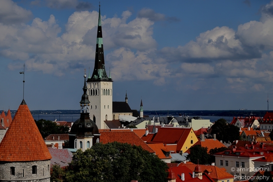 Vanalinn_The_Old_Town_Tallinn_Estonia_Cityscape_Photography_Canon_EOS_R5_Mark_II_2025_078.JPG