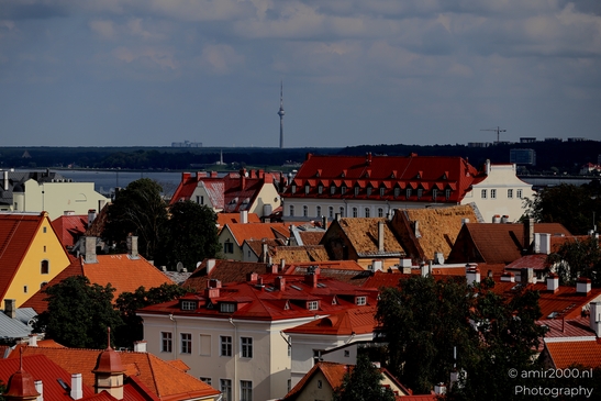 Vanalinn_The_Old_Town_Tallinn_Estonia_Cityscape_Photography_Canon_EOS_R5_Mark_II_2025_079.JPG