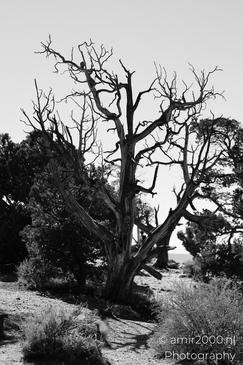 Desert View Watchtower iconic tower details and expansive rim views toward the Painted Desert - image from year 2025 #024