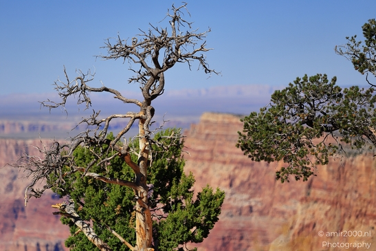 Grand Canyon Landscapes – Vistas and Details | Amir Darzi