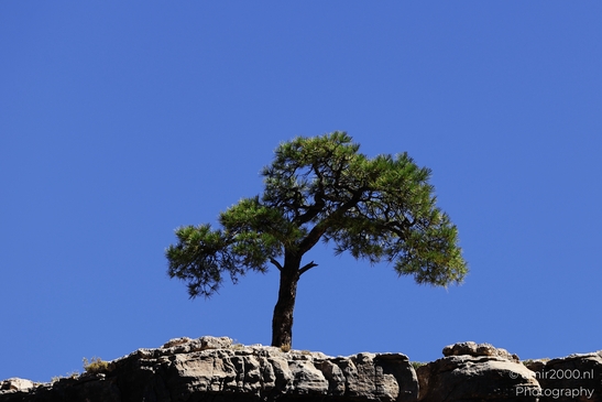 Grandview Point overlook telephoto canyon textures and layered rock formations with deep - image from year 2025 #004