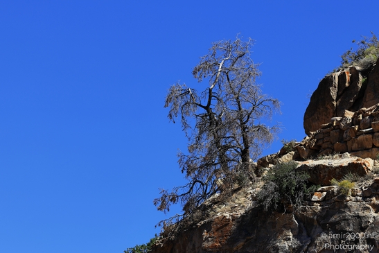 Grandview Point overlook telephoto canyon textures and layered rock formations with deep - image from year 2025 #008