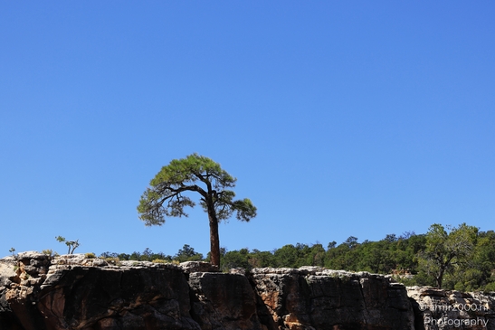 Grandview Point overlook telephoto canyon textures and layered rock formations with deep - image from year 2025 #009
